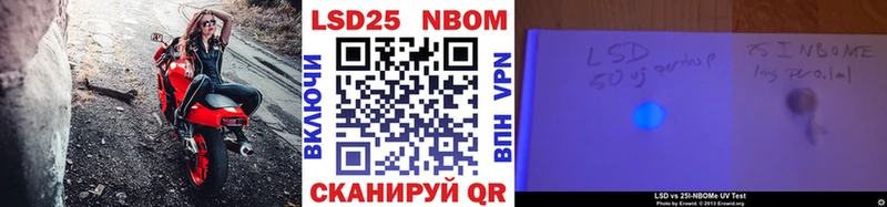 Купить закладки  Новая Ладога  Наркотические марки 1,8мг 