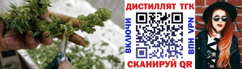 ТГК THC oil Купить закладки Новая Ладога