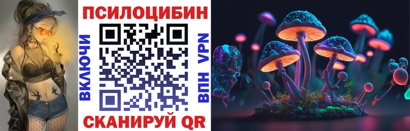 Купить закладки  Новая Ладога  Псилоцибиновые грибы Cubensis 