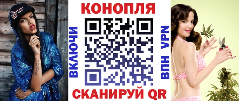 Конопля семена  Купить где  Новая Ладога 